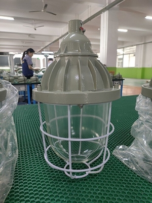 Lampy przeciwwybuchowe ATEX Ognioszczelny otwór obrotowy IP55